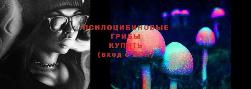 hydra вход  Кашира  Галлюциногенные грибы Psilocybine cubensis 